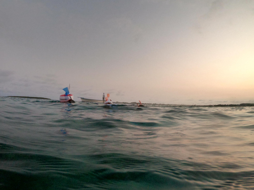 Night Snorkeling Adventure /Mauritius-Pointe d'Esny必去景点