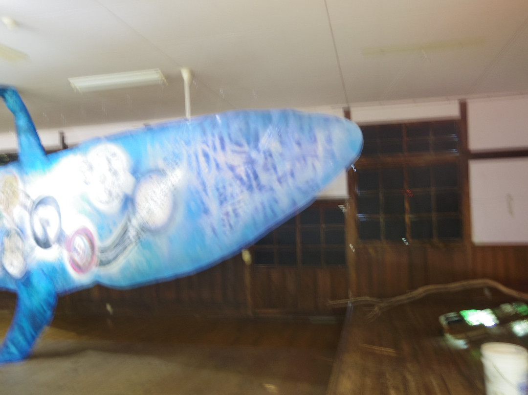 Awa Island Ocean Memorial Hall景点图片