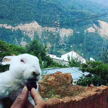 Capulalpam de Mendez旅游攻略图片