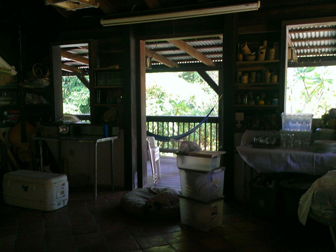 Frederiksted旅游景点-Rain Forest Farm Tours