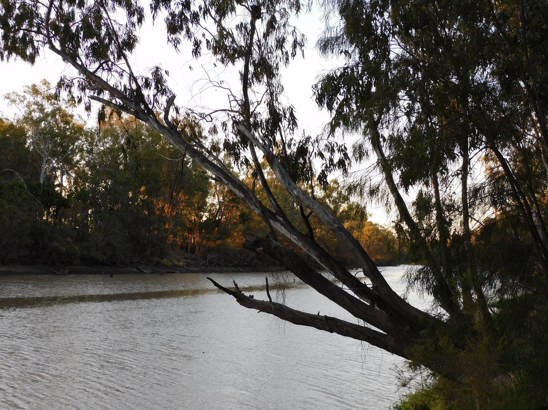 Hotel Theodore主图