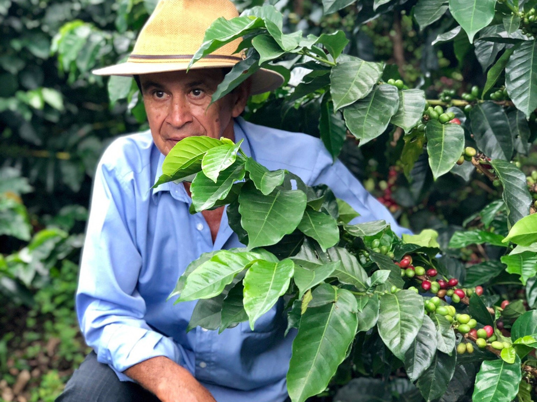 Jardín Eco Tours-Jardin必去景点