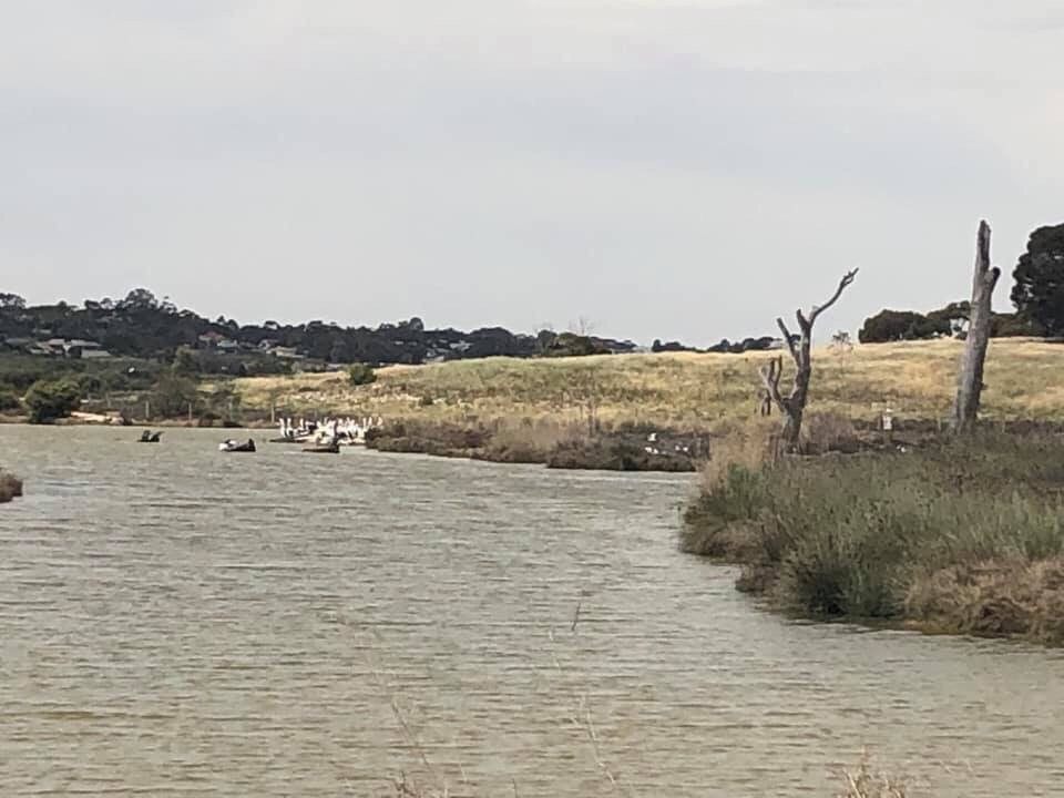 Rocky Gully Wetlands-Murray Bridge必去景点