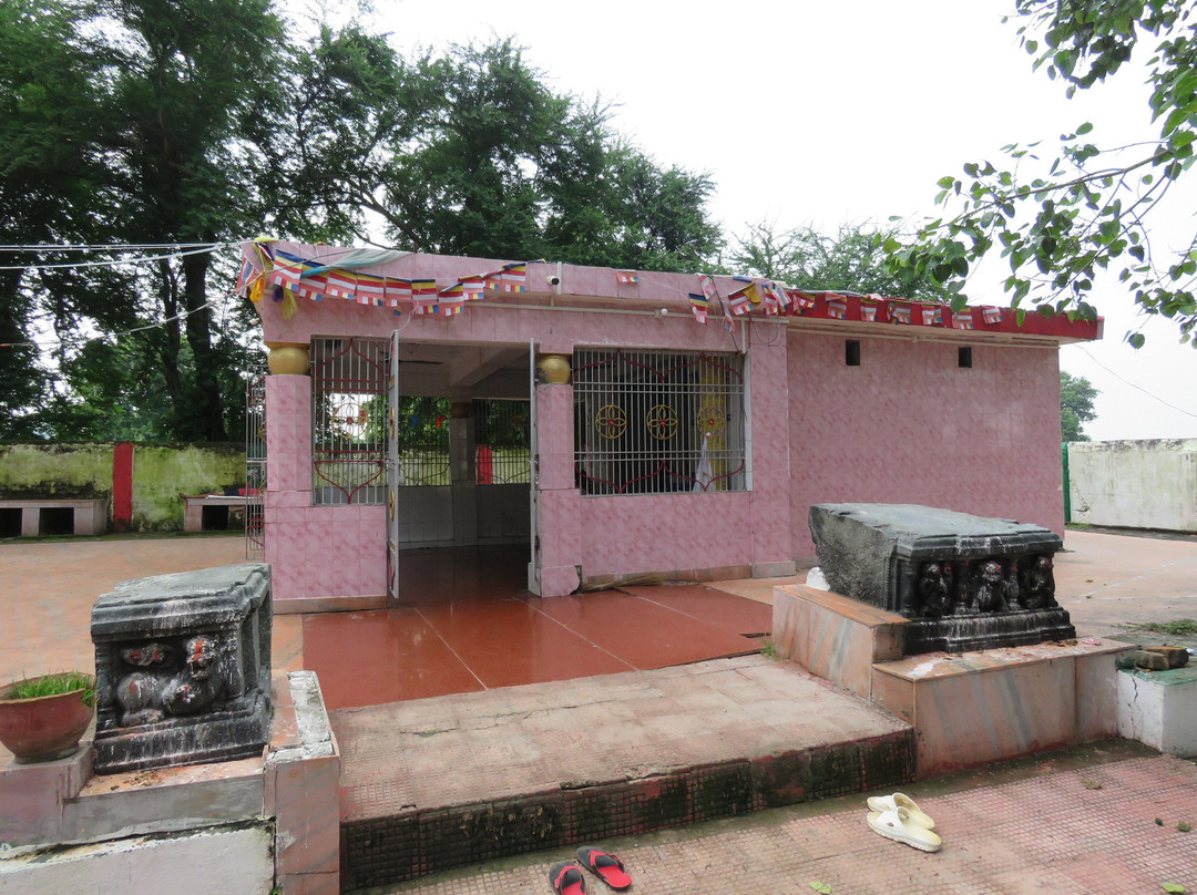 Black Buddha Temple景点图片