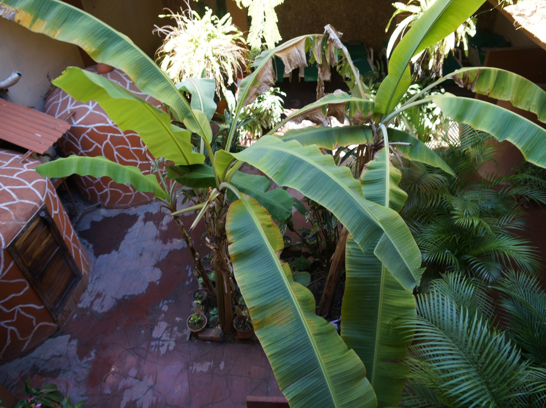 Temazcal NA-HÁ MAYA Huatulco-Crucecita必去景点