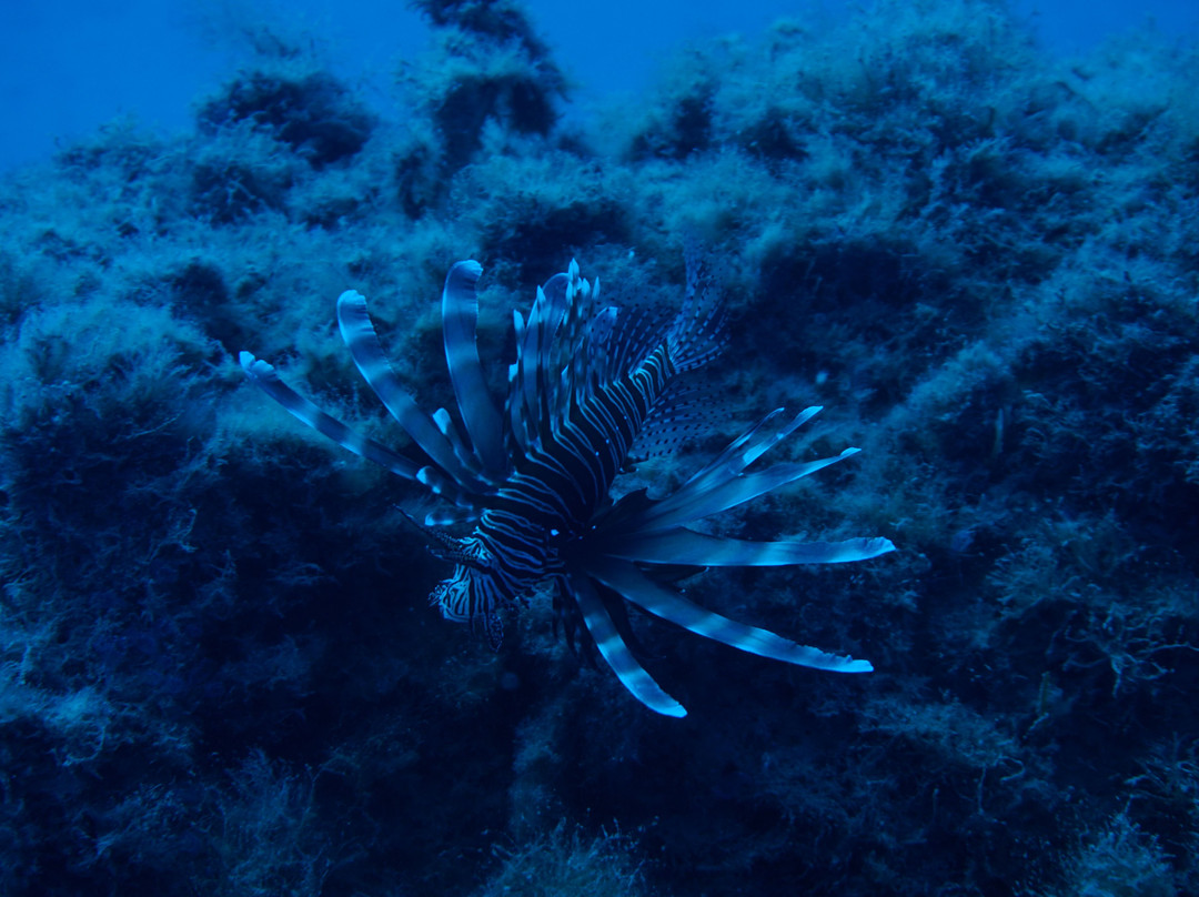 Indigo-Shavei Tzion必去景点