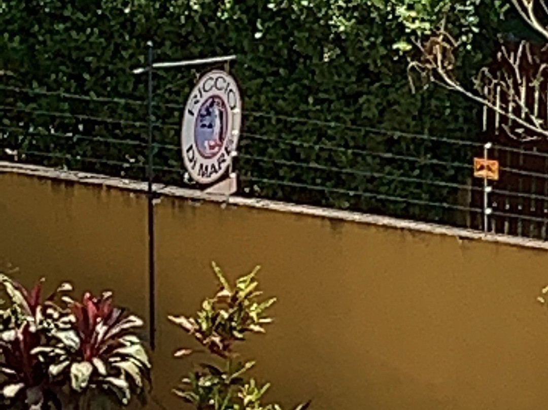 Riccio di Mare主图