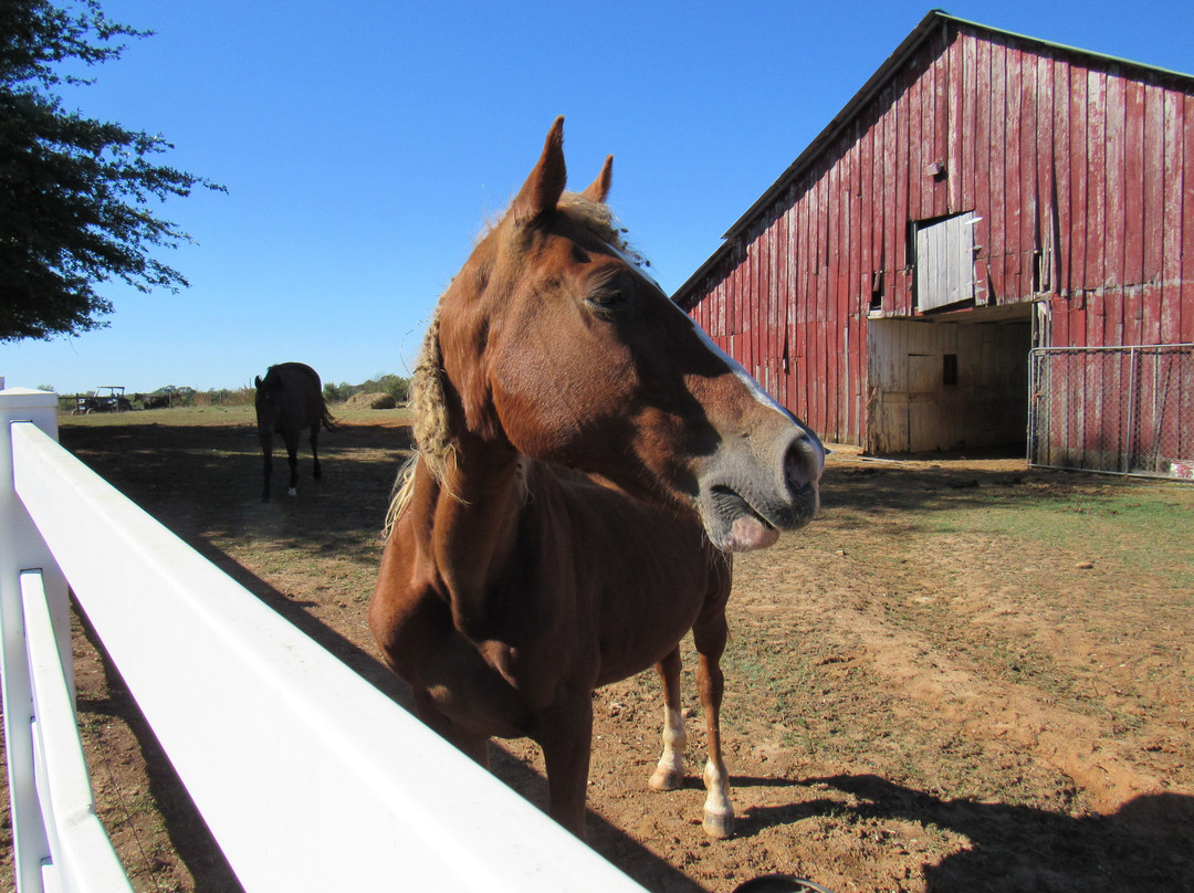 Magnolia Plantation Bed and Breakfast主图