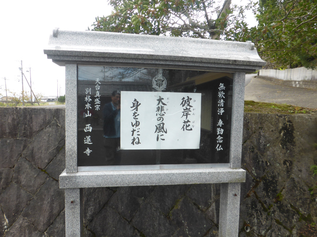 Sairenji Temple景点图片