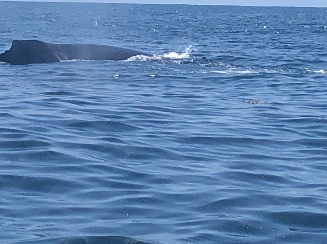 Adventure Rafting-穆鲁拉巴必去景点