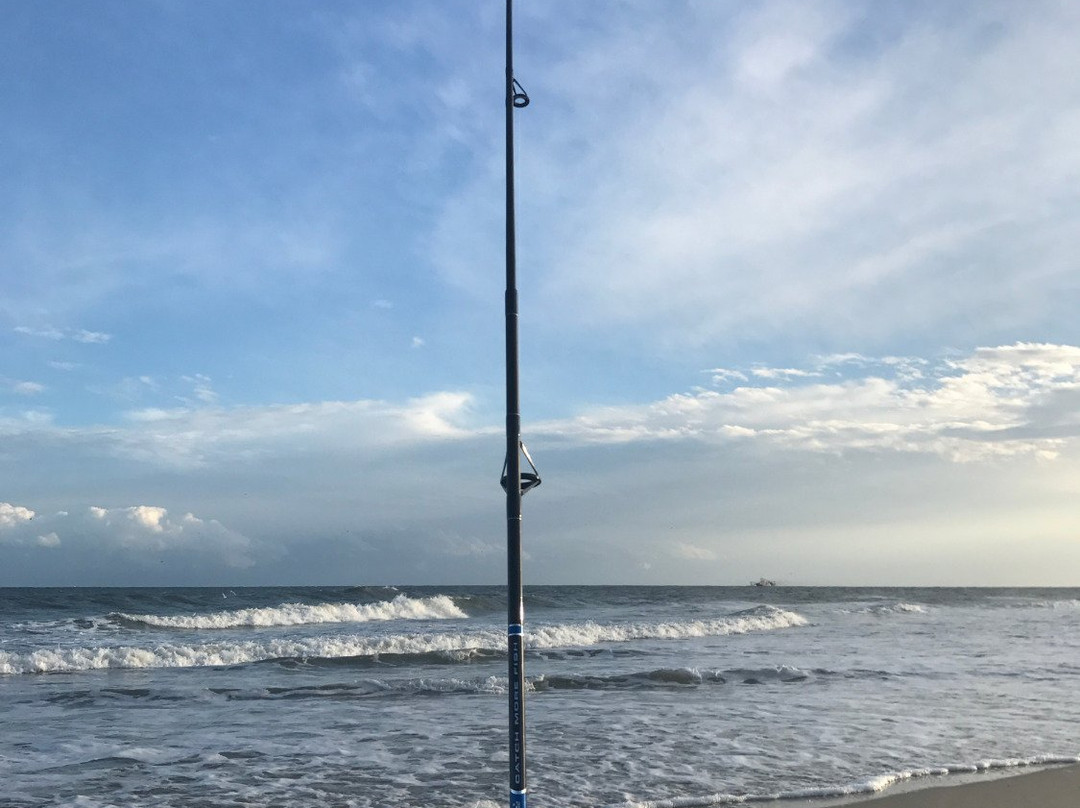 Cape Lookout Kayak Rentals景点图片
