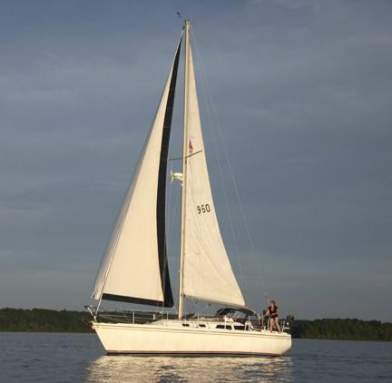 Black Swan Sailing - Day Tour-Kingston必去景点