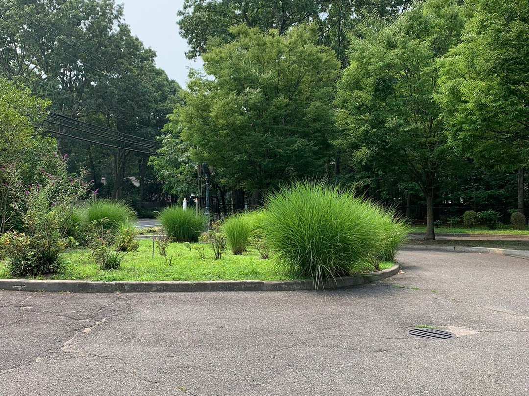Robert J. Henke Nature Preserve Passive Park景点图片
