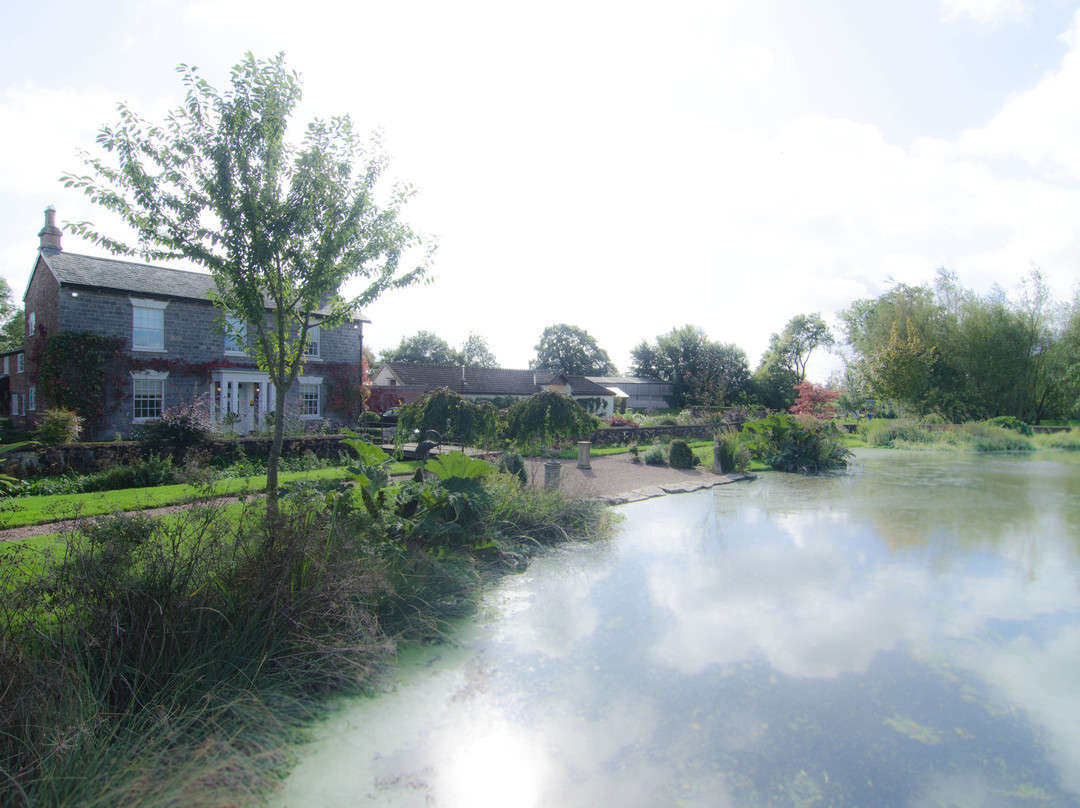 Muddifords Court主图