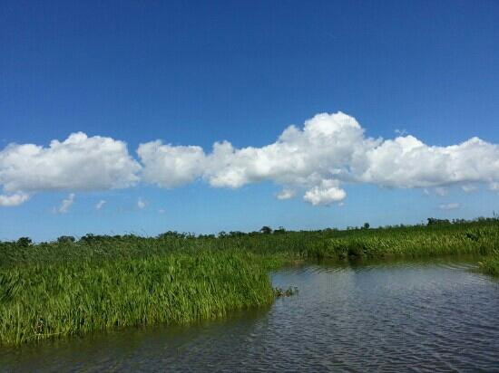 Airboat Swamp Adventures景点图片