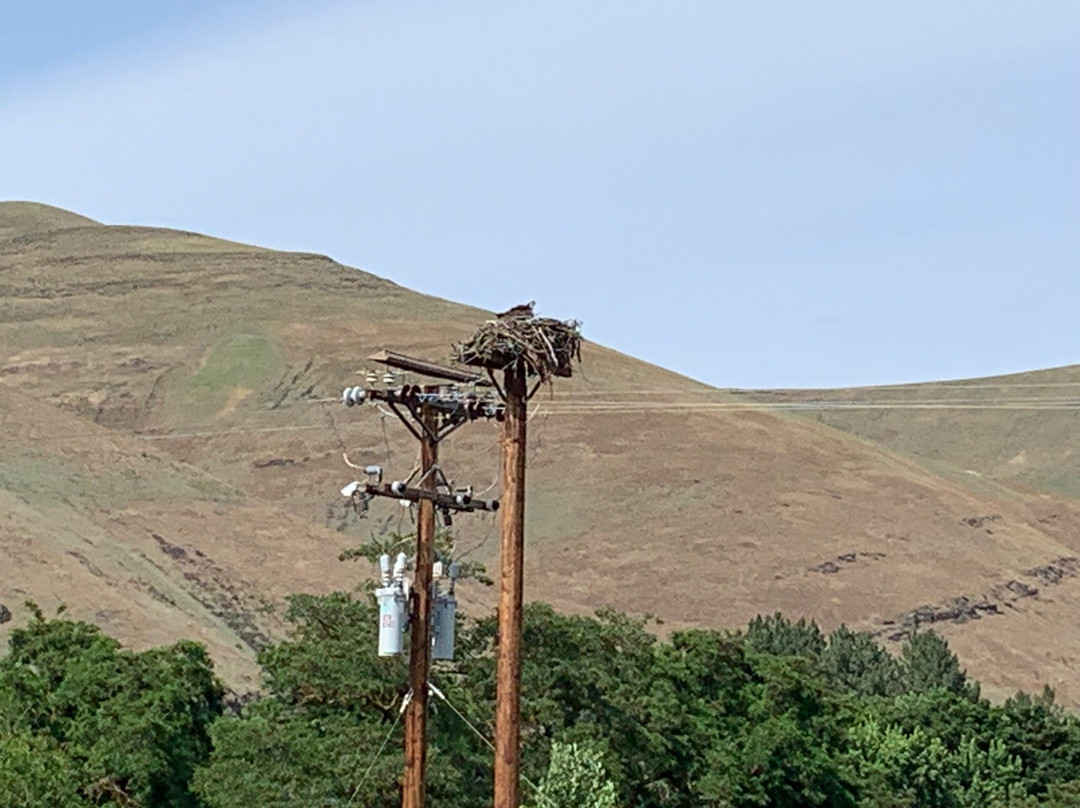 Nez Perce National Historical Park Visitor Center景点图片