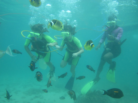 Snuba Tours of Kauai-可洛亚必去景点