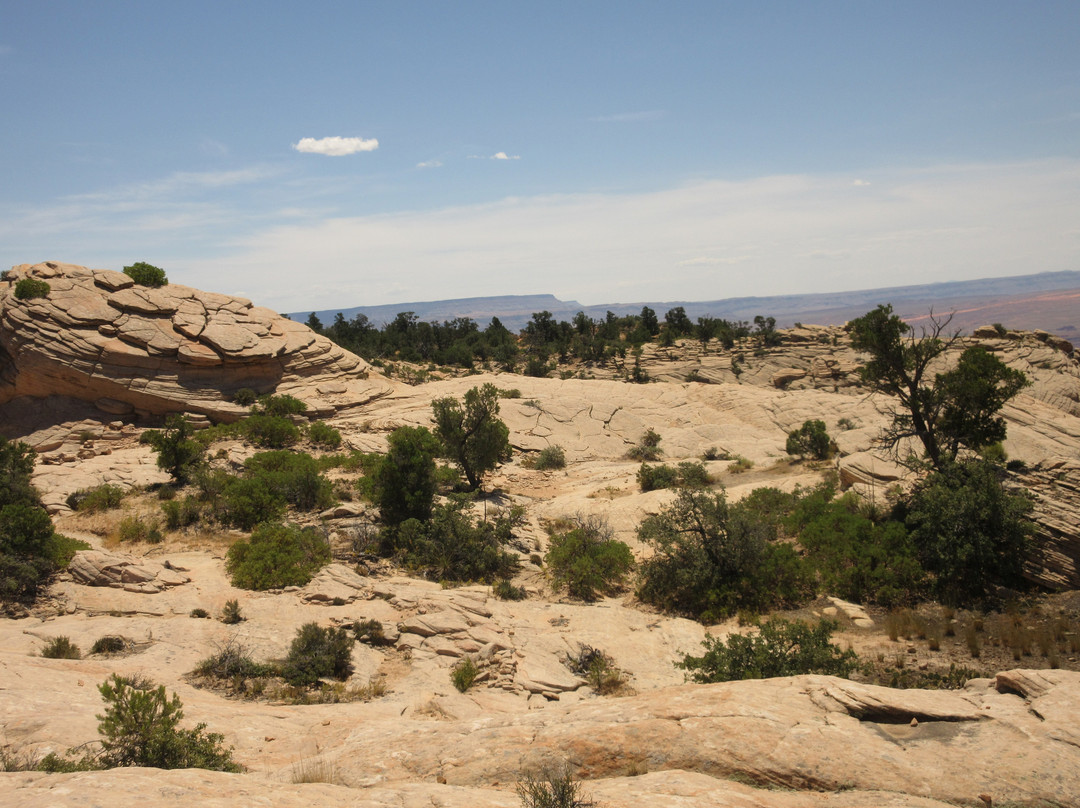 Yant Flat-Leeds必去景点