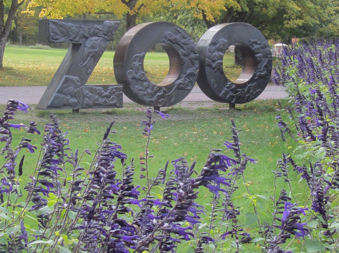 Tallinn Zoo-塔林必去景点