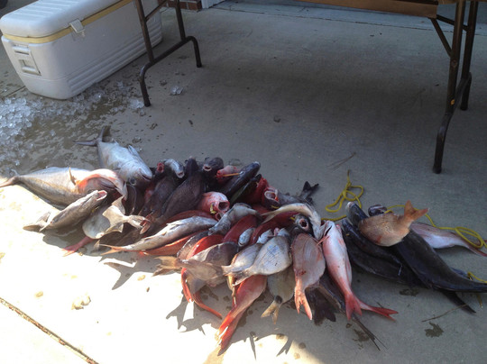 Voyager Fishing Charters