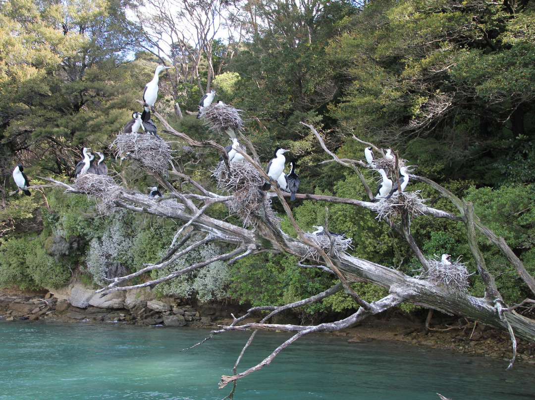 Pelorus Tours - Private Tours景点图片
