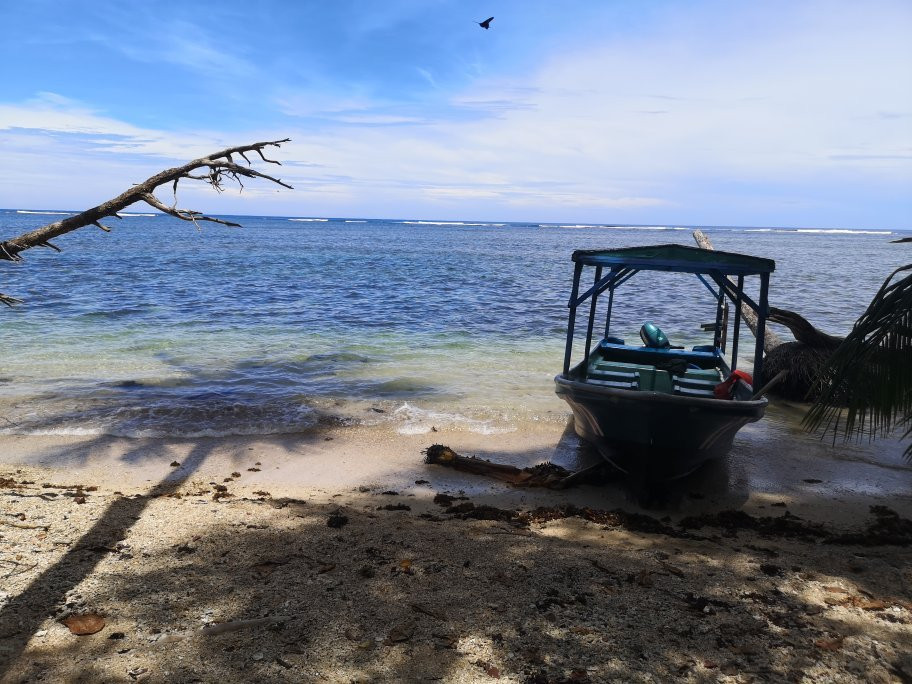 Cahuita Tours景点图片