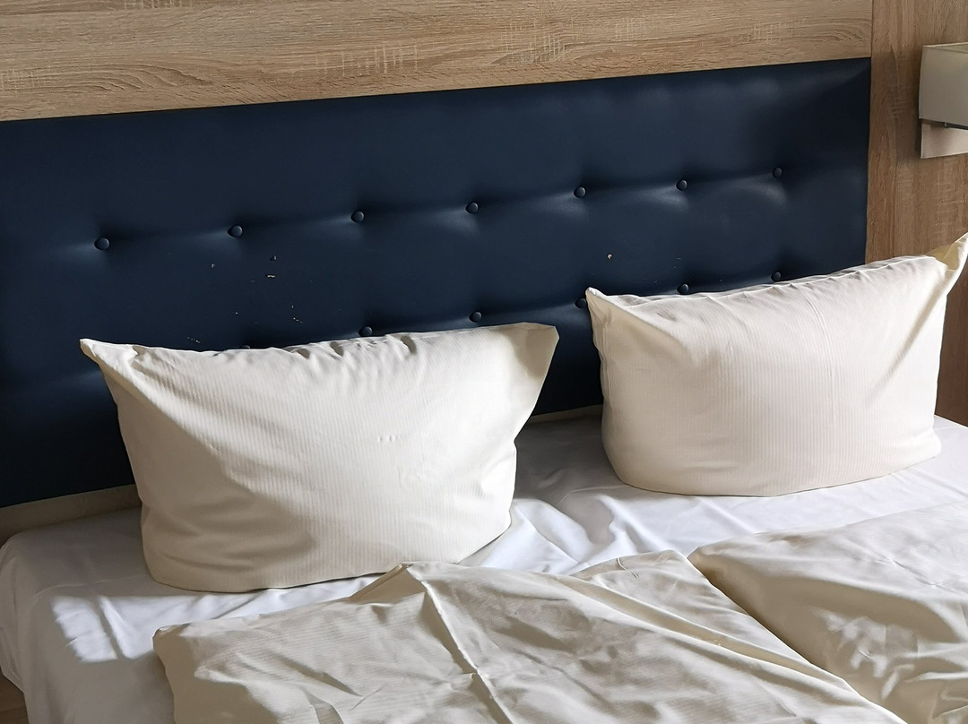 Hotel Boddenhus主图