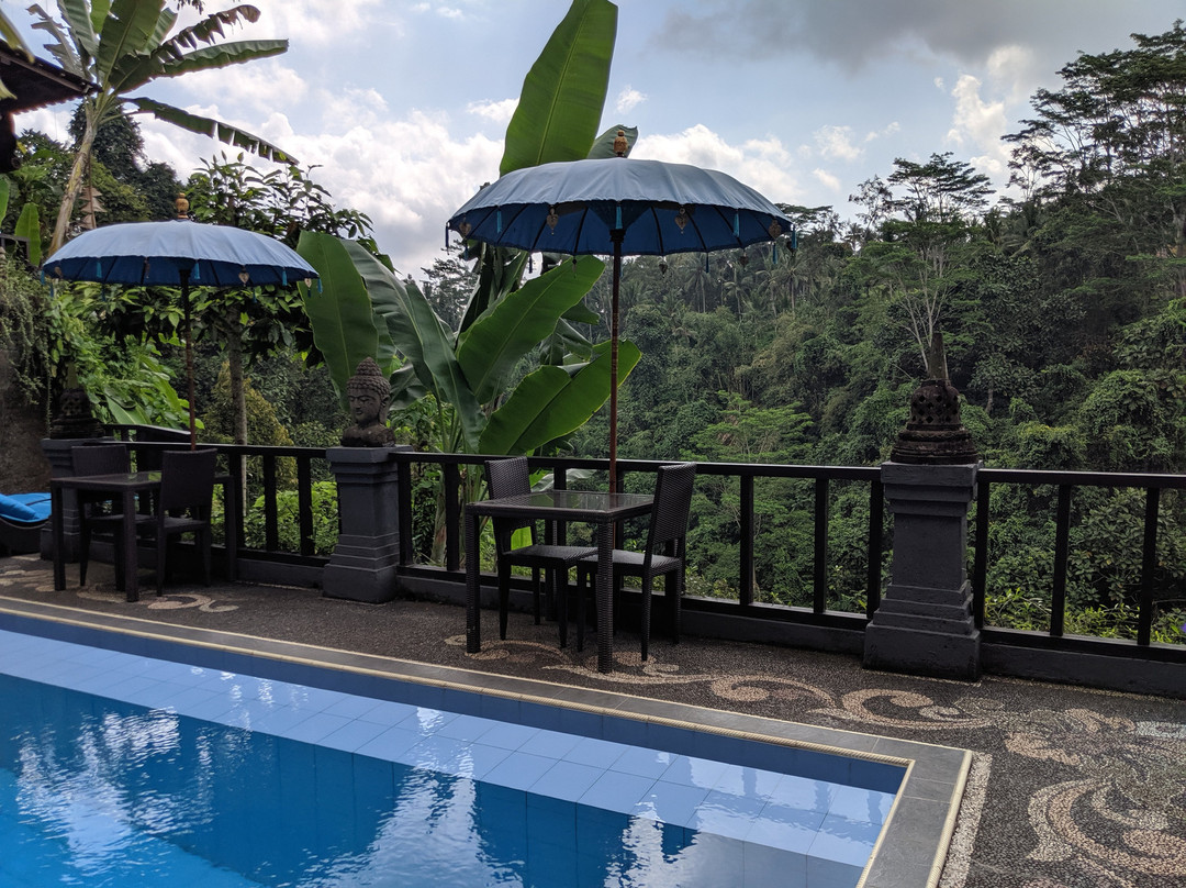 卡里萨别墅酒店主图