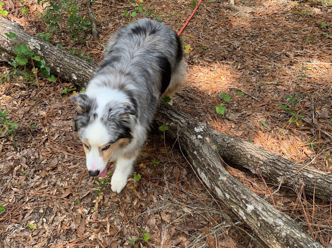 Whispering Pines Park-因弗内斯必去景点