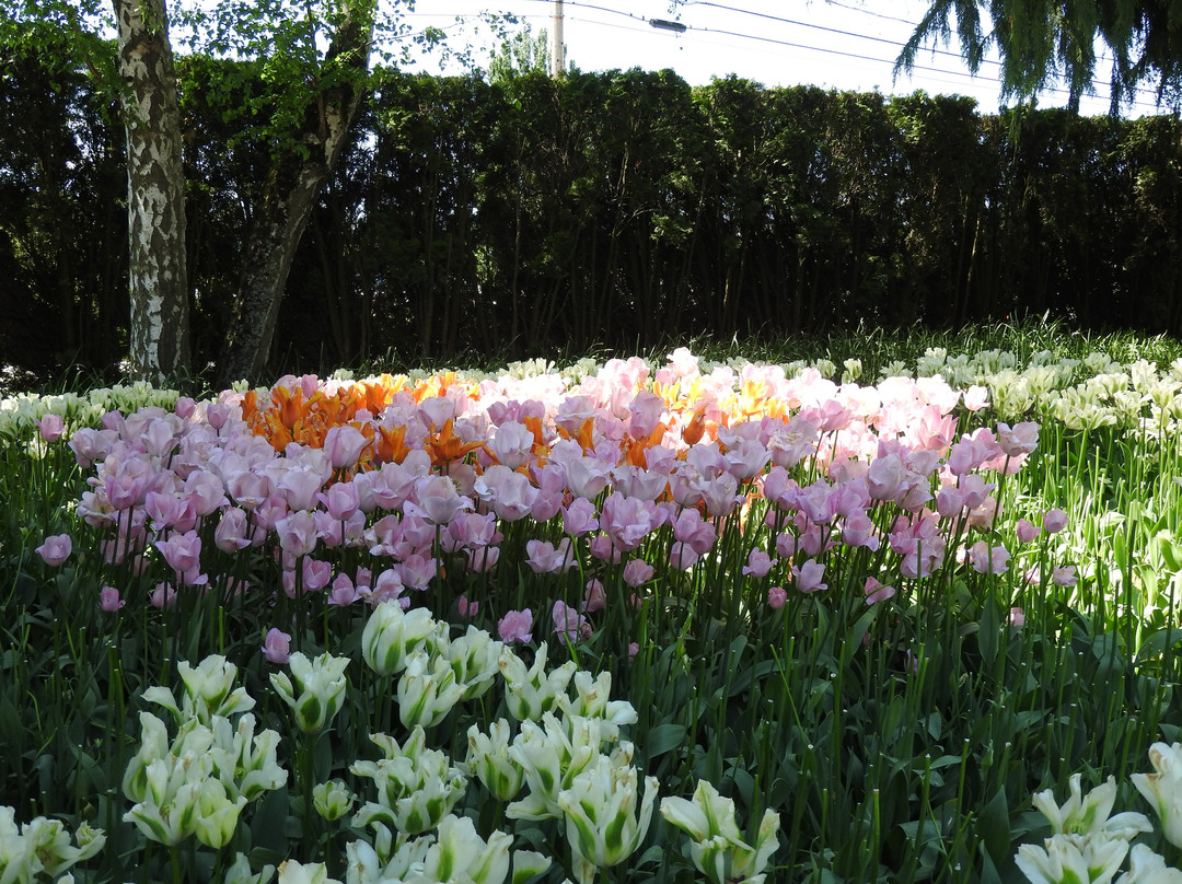 Roozengaarde Display Garden景点图片