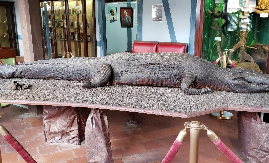 Musee Departmental Alexandre-Franconie-卡宴必去景点