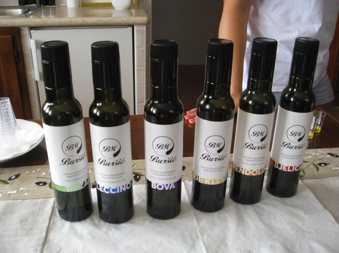 Bursic extra virgin olive oil-Nova Vas必去景点