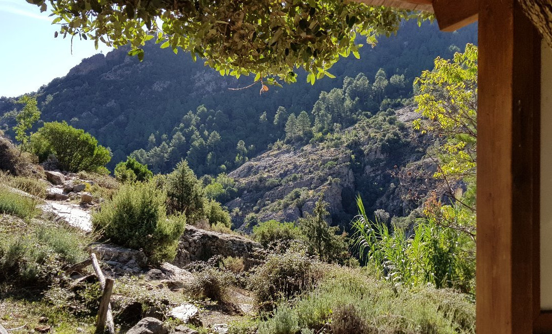 Gorges du Tavignano景点图片