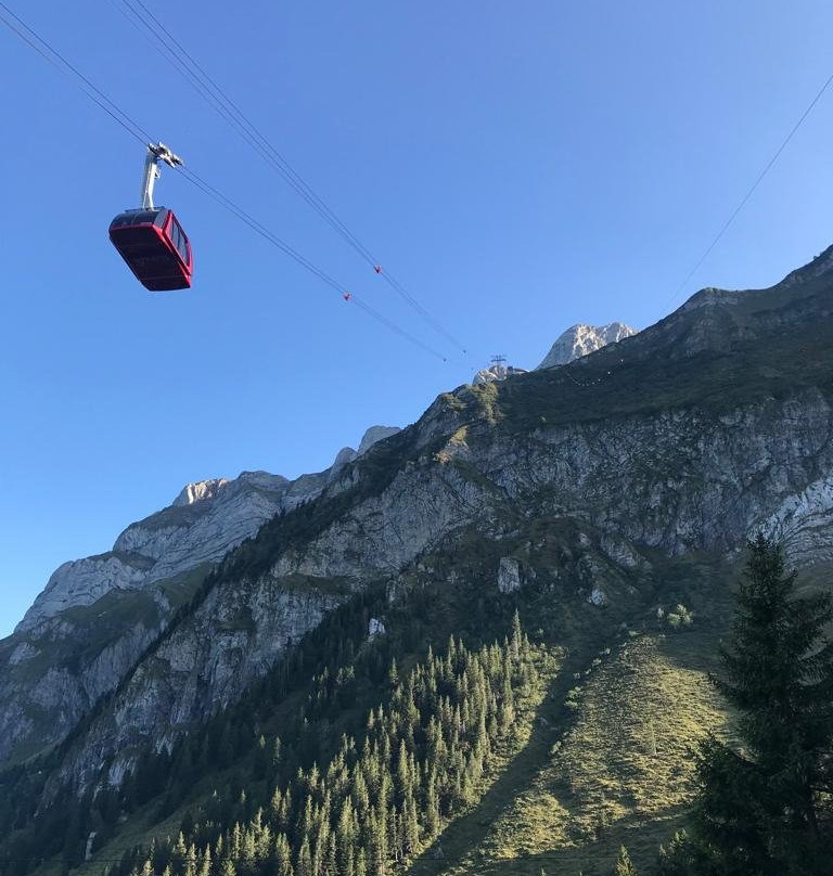 Love Switzerland Tours-巴塞尔必去景点