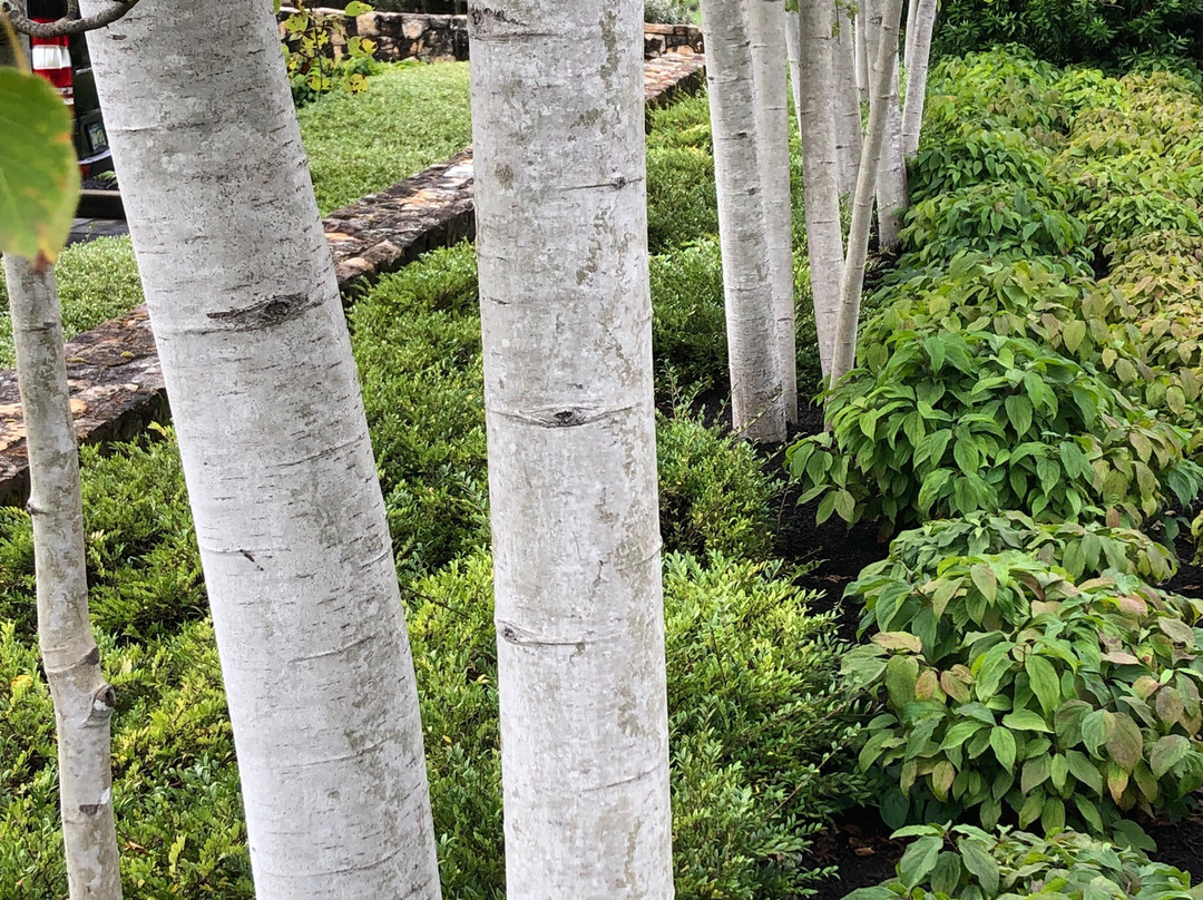 Allison Inn & Spa主图