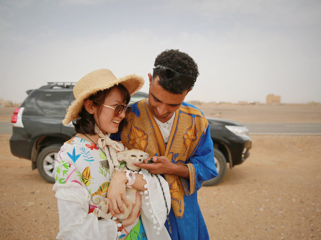 Camel Ride Trips-非斯必去景点