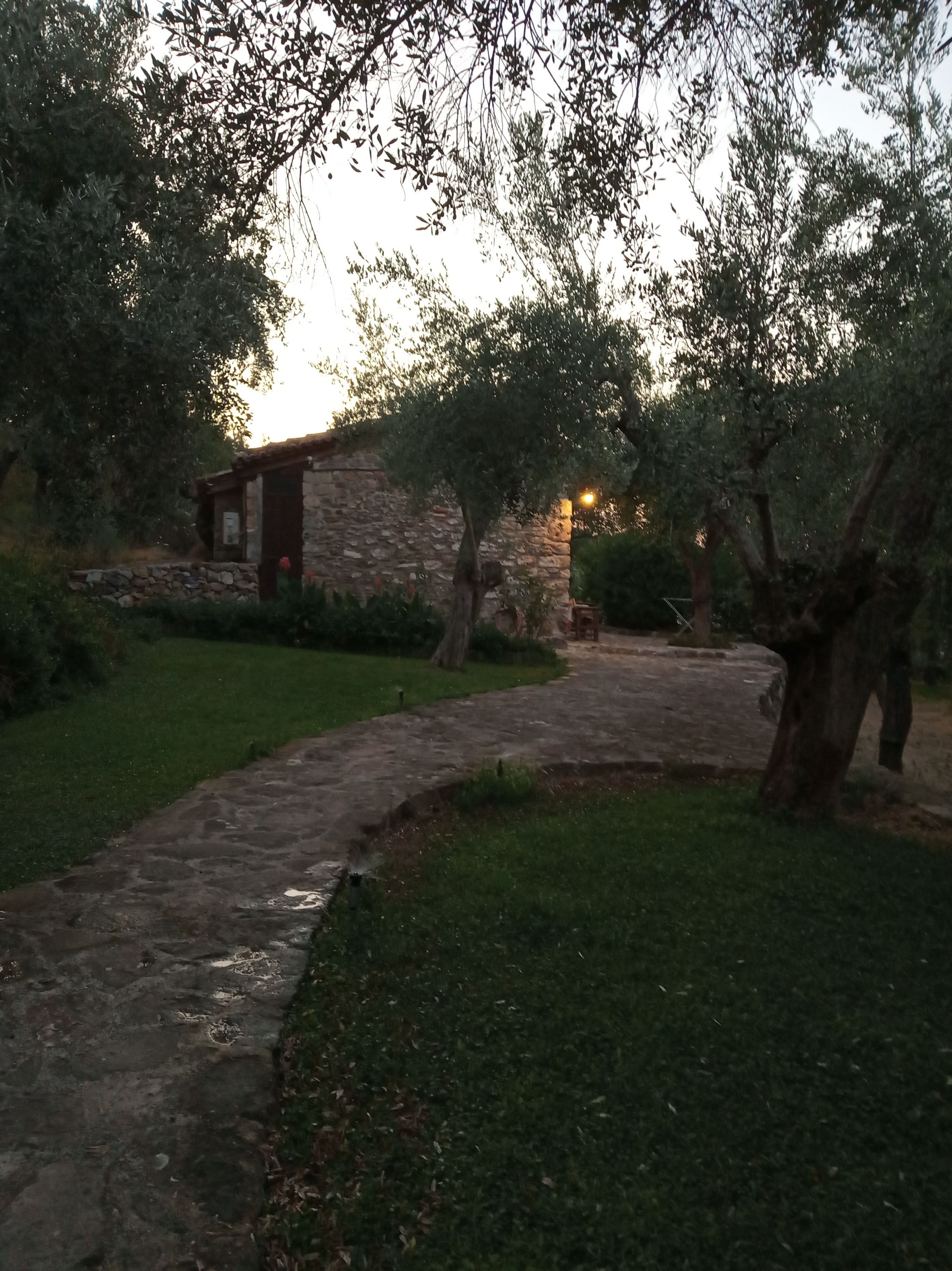Gera's Olive Grove-浴室