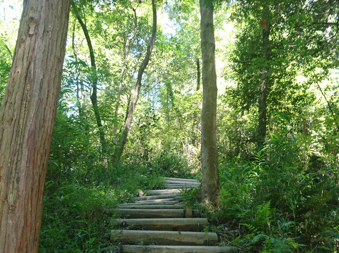 Hoshi no Buranko Bridge-交野市必去景点
