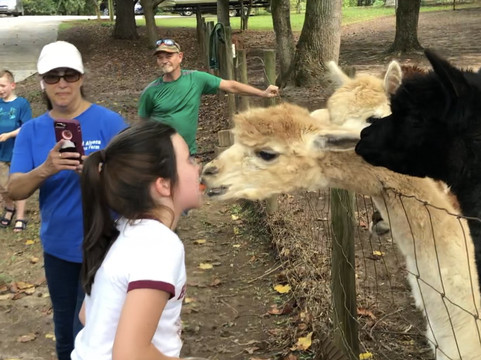 L & R Alpaca Haven Farm-Douglasville必去景点