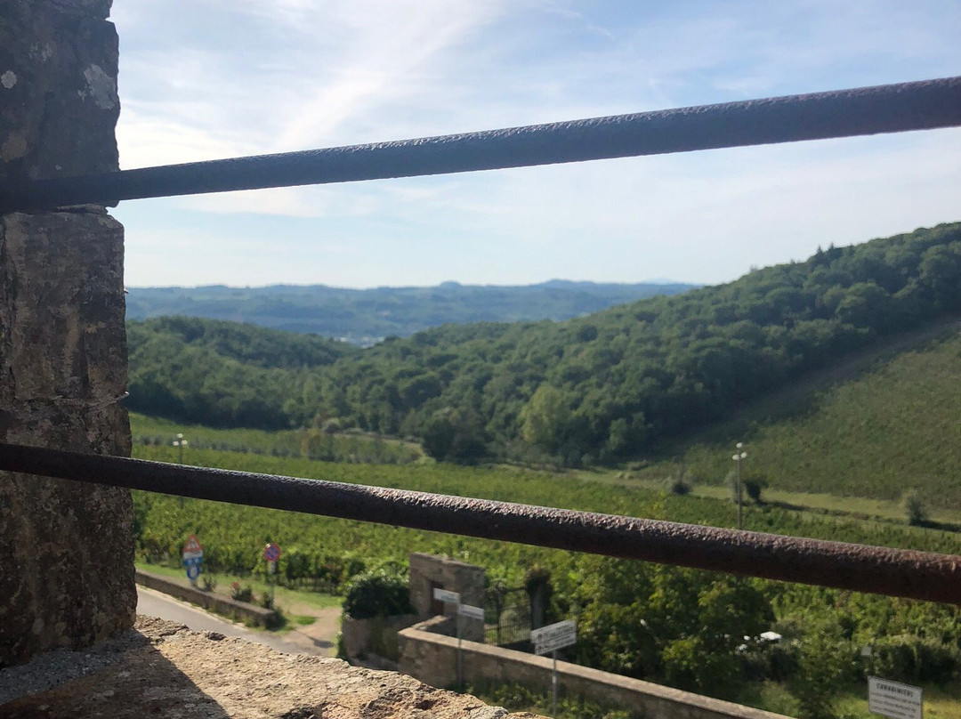 Abbazia di San Michele Arcangelo a Passignano景点图片