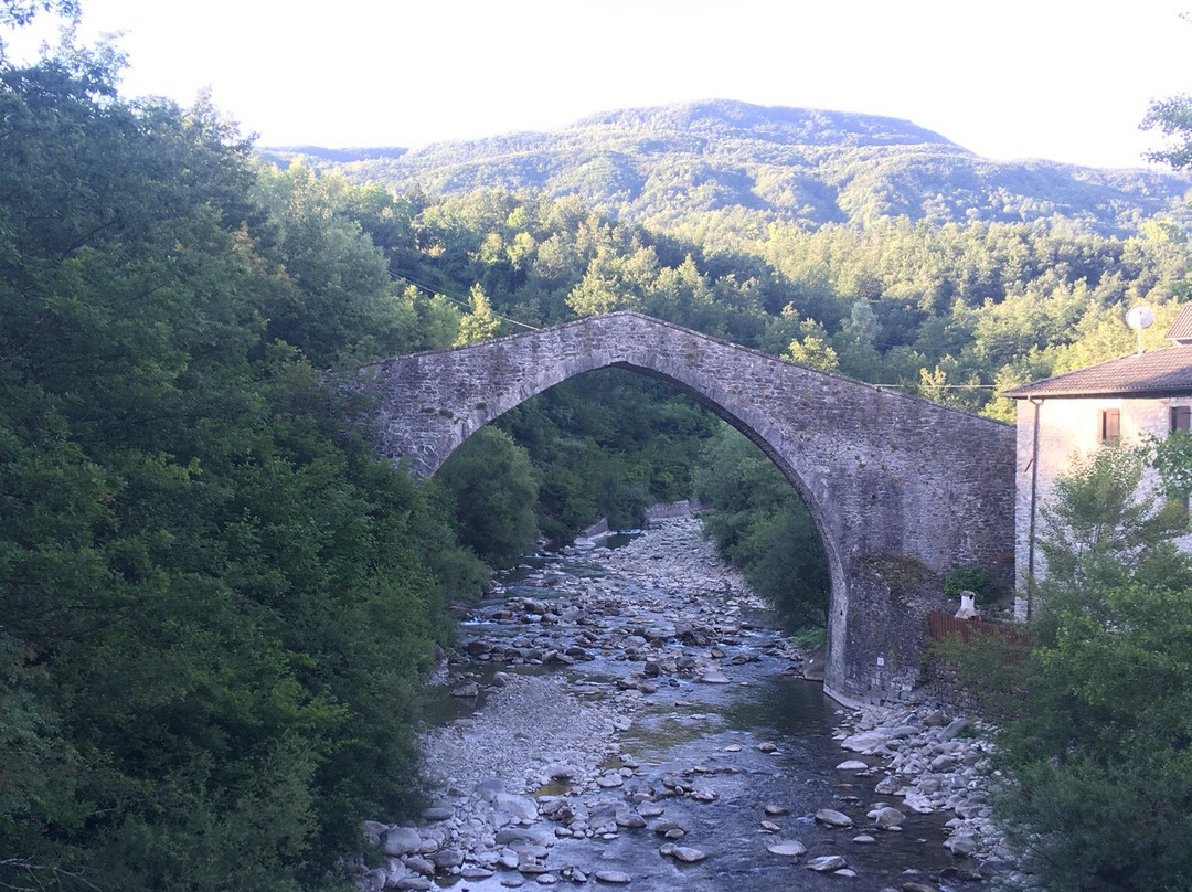 Bar Trattoria Ponte Antico