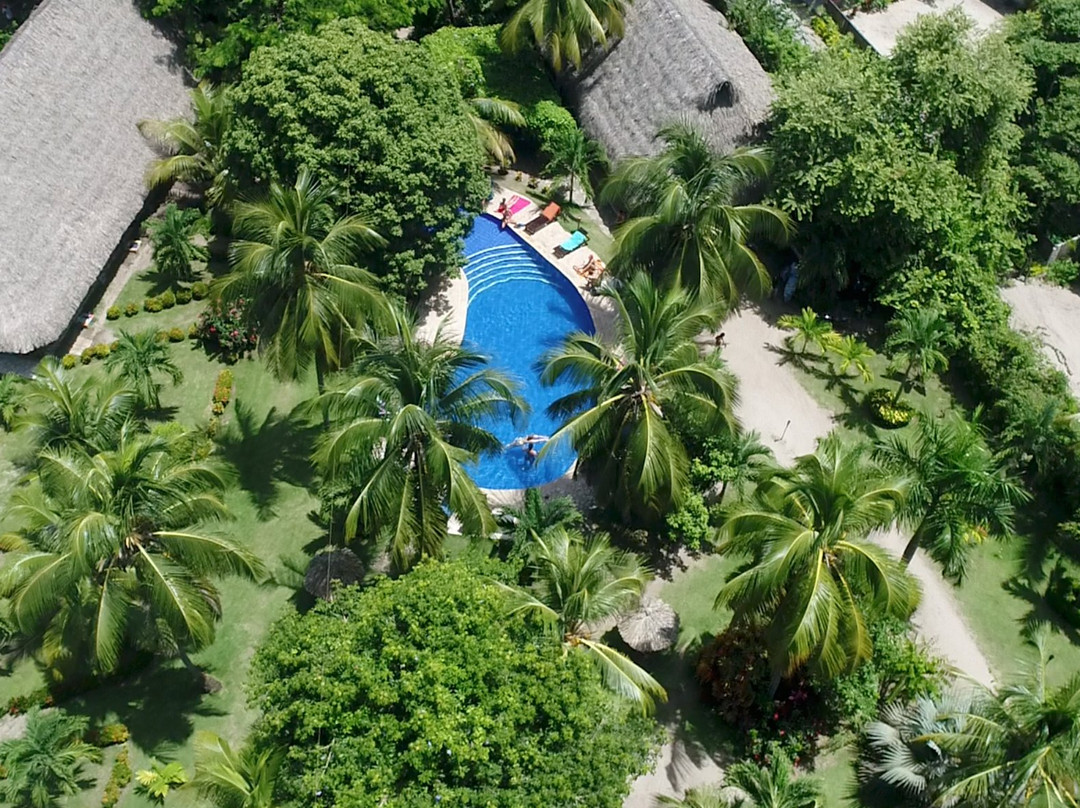梦想家帕洛米诺