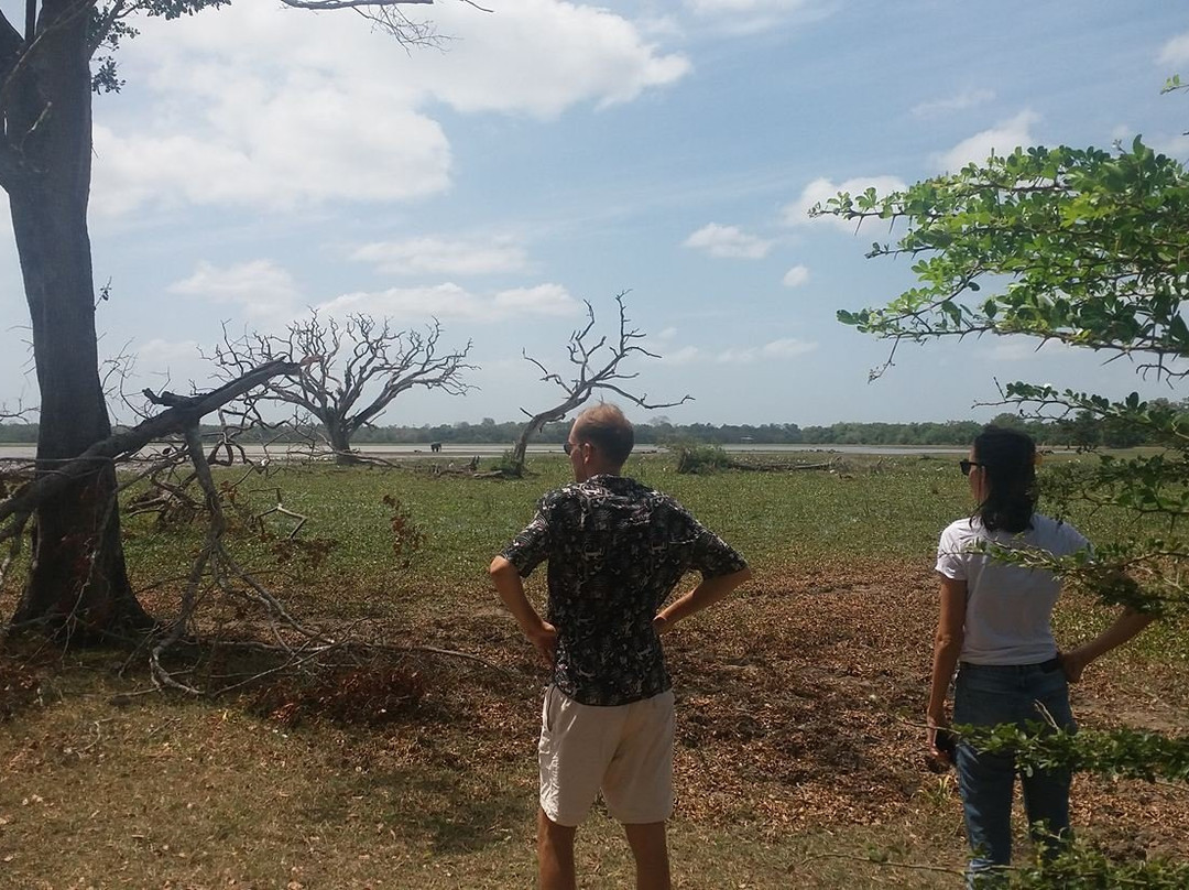 Lahugala Kitulana National Park-Ampara必去景点