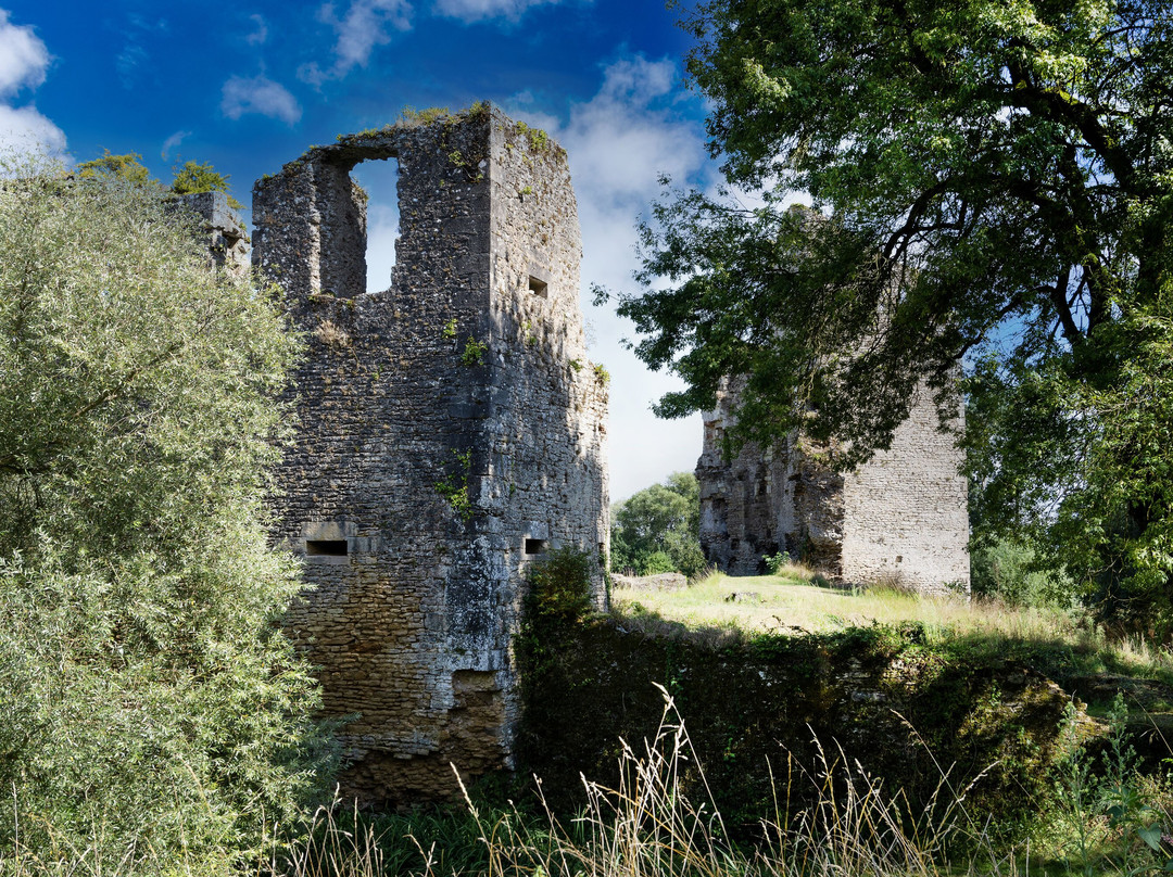 Chateau de Machecoul