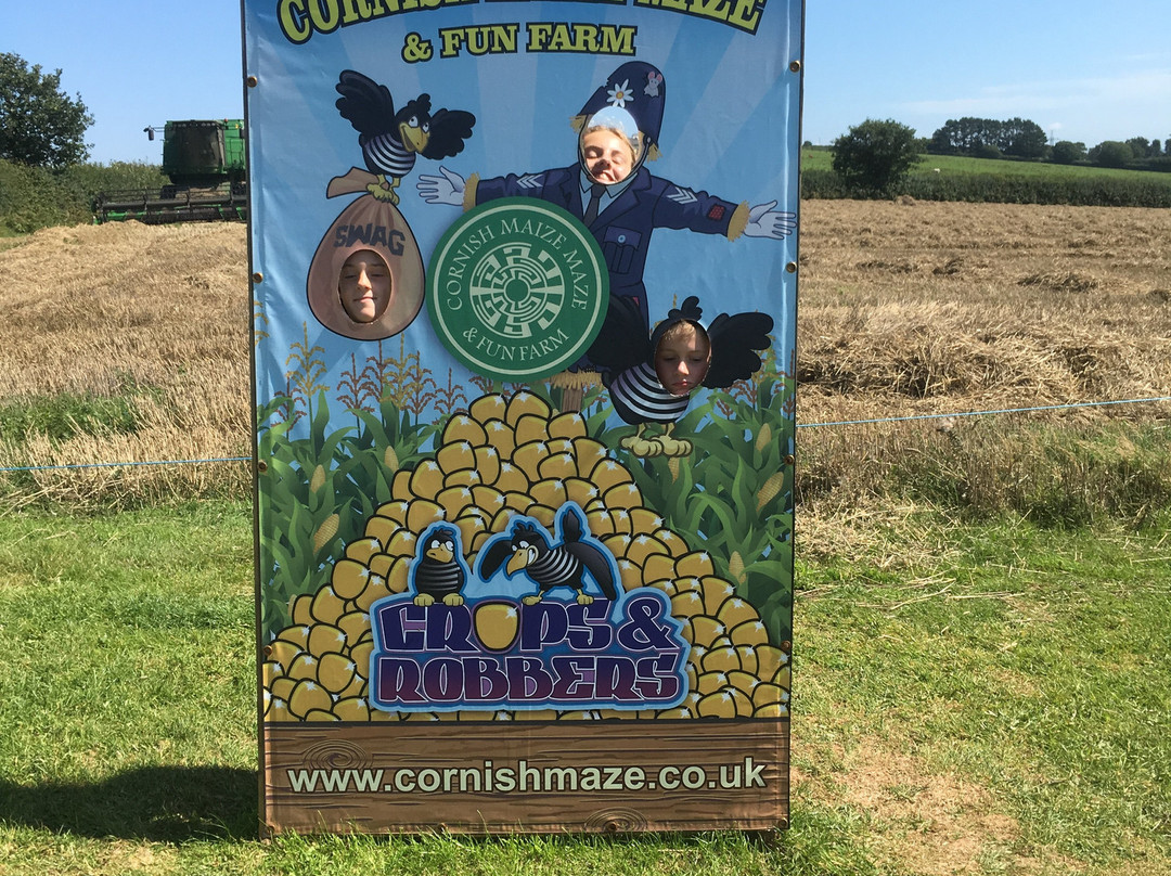 Cornish Maize Maze景点图片
