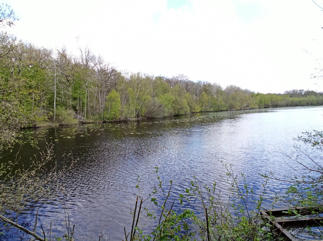 Etang Neuf景点图片