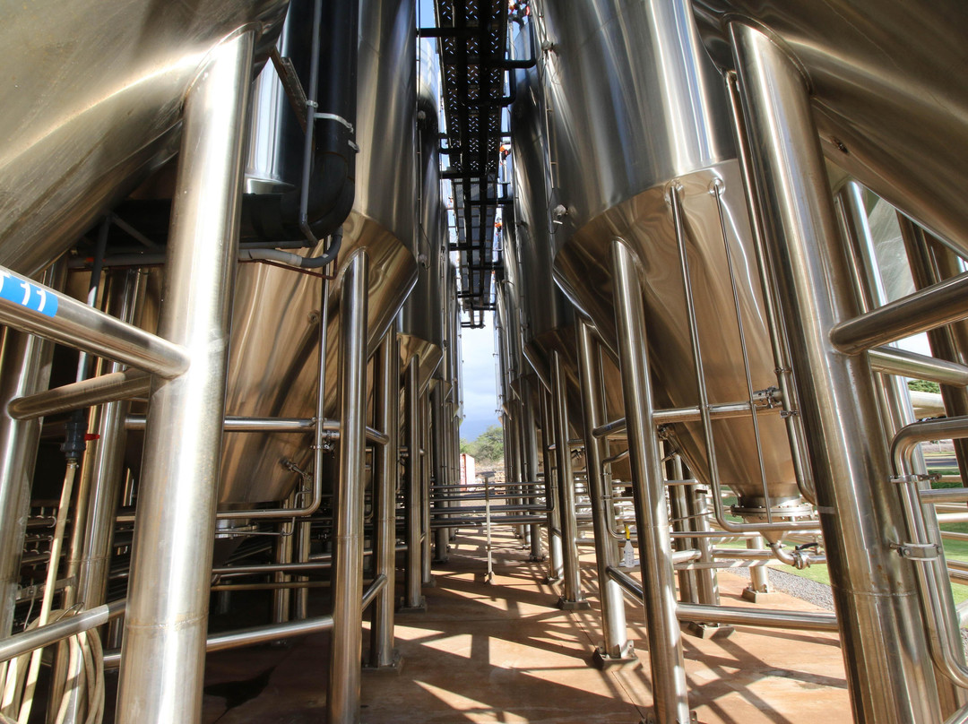 Maui Craft Tours-毛伊岛必去景点