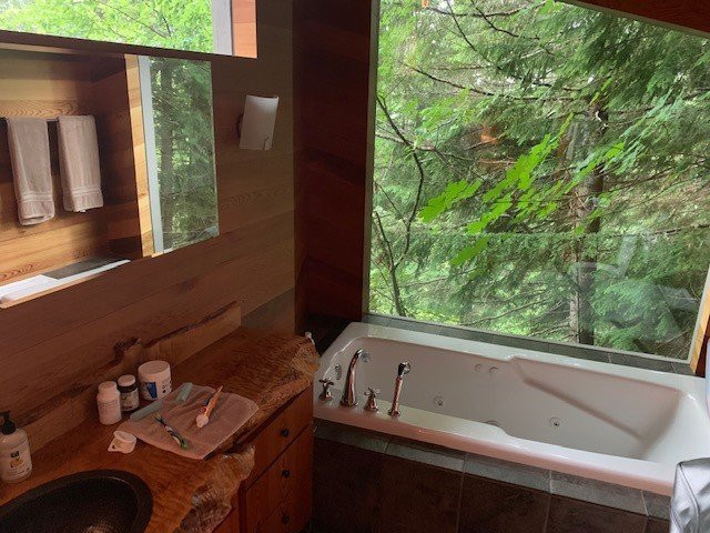 Deep Forest Cabins at Mt. Rainier主图