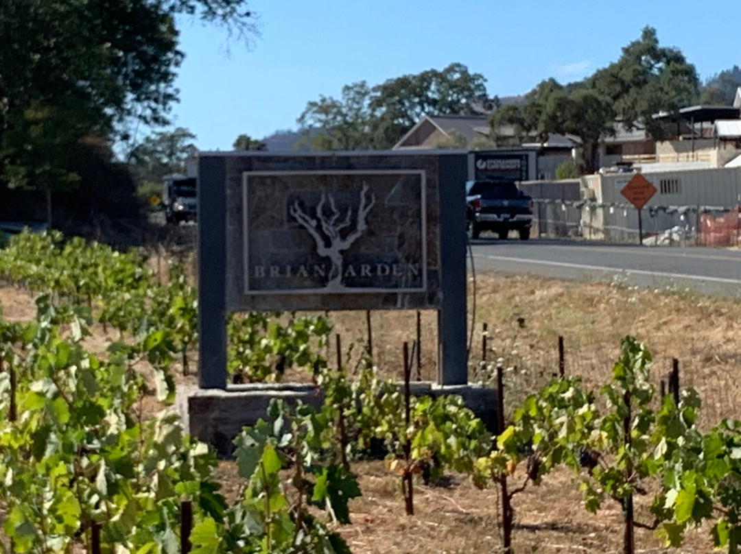 Brian Arden Winery-卡利斯托加必去景点