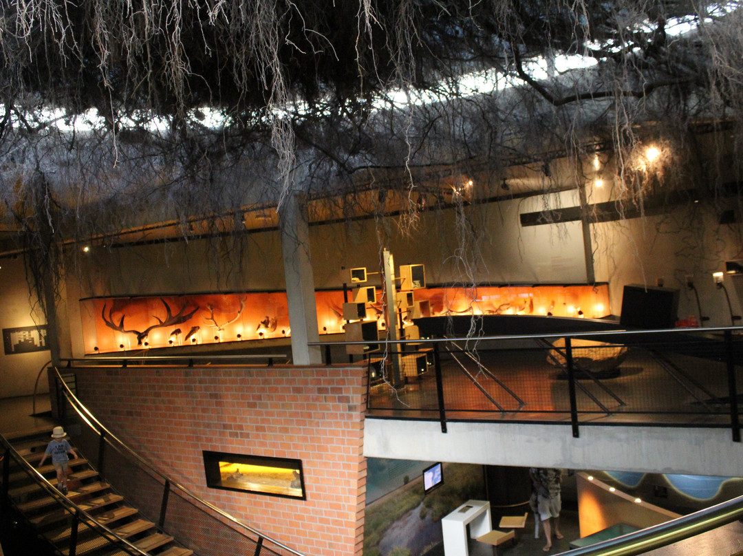 Het Museonder in Nationaal Park de Hoge Veluwe-奥特洛必去景点